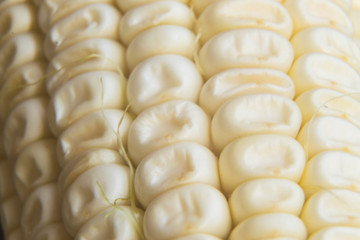 Full frame and macro photo of fresh, organic corn