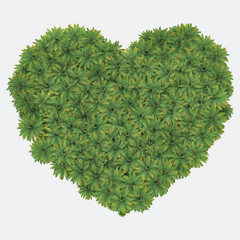 Palm trees isolated. Image useful for banners, posters or photo maipulations. 3d rendering. Illustration