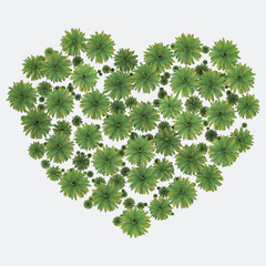 Palm trees isolated. Image useful for banners, posters or photo maipulations. 3d rendering. Illustration