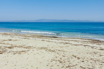 Xenia Golden Beach at Kassandra Peninsula, Chalkidiki,
