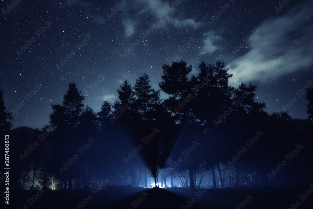 Wall mural silhouette of forest. stars at night sky landscape