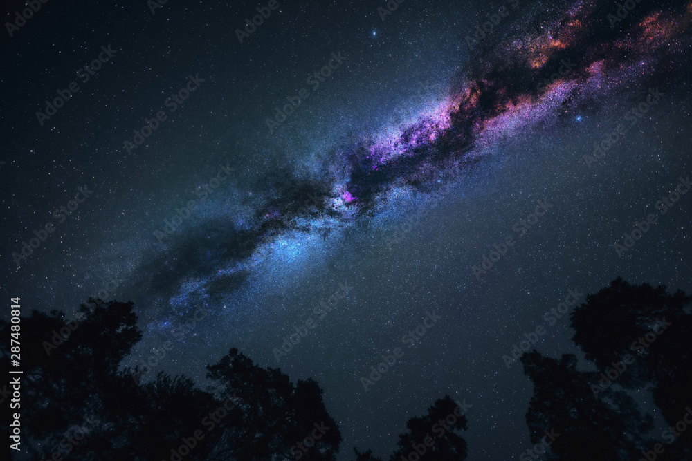 Wall mural milky way galaxy in universe astrophotography. silhouette of forest. stars and nebula at night sky l