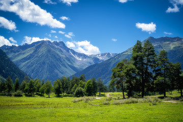Nature mountains landscape in the summer day