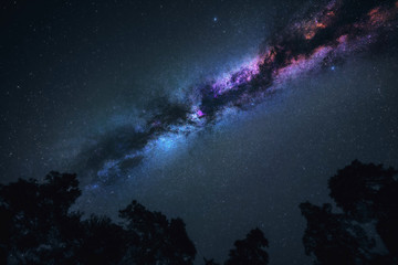 Milky Way galaxy in Universe astrophotography. Silhouette of forest. Stars and nebula at night sky landscape