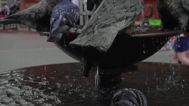 Pigeons are perched on metal pigeons of a fountain statue.
