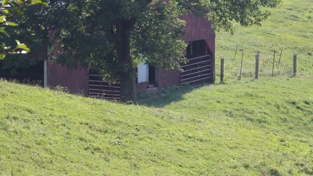 barn in kentucky