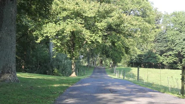 path in the park
