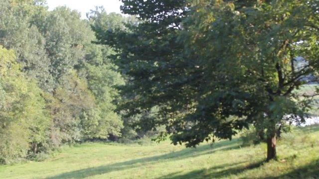 landscape hills in kentucky