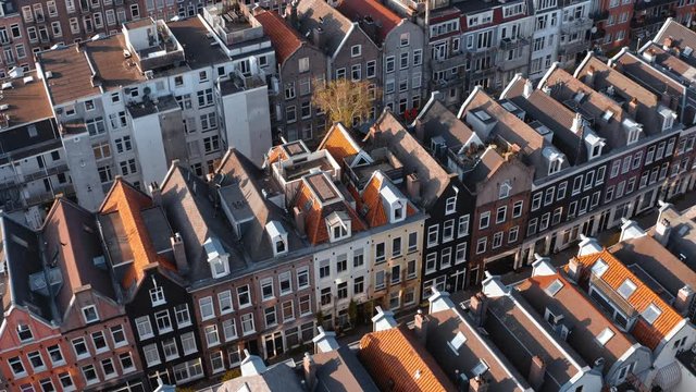 Amsterdam, Netherlands: aerial drone view of cute Amsterdam Houses roofs in center of city with flying birds