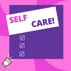 Word writing text Self Care. Business photo showcasing practice of taking action to preserve or improve ones own health Big blank square rectangle stick above small megaphone left down corner