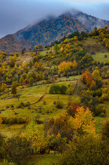 Autumn colors on the hills