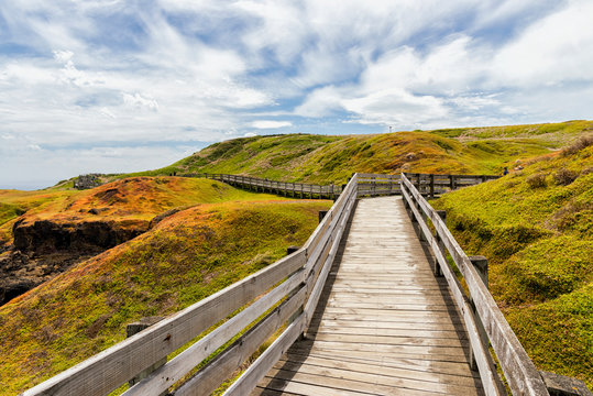 Phillip island walkway, Melbourne, Victoria, Australia