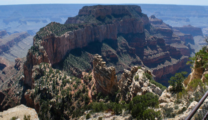 Grand Canyon National Park North Rim, USA. One of the Worlds 7 Natural Wonders