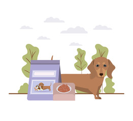 dog with bowl and pet food on landscape