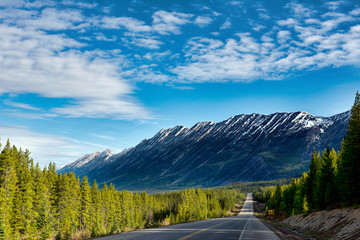 Road through the Canadian Rocky Mountains