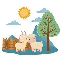 Goat and sheep cartoon vector design