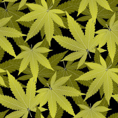 Cannabis or marijuana leaves pattern seamless vector illustration.