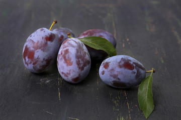 fresh blue plums on a dark background