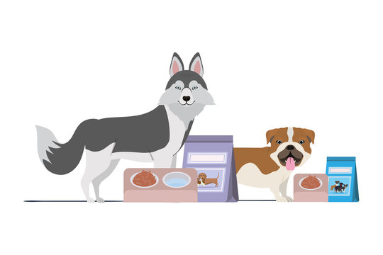 dogs with bowl and pet food on white background