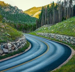 Winding road curving through pine forest at sunset in the Rocky Mountains