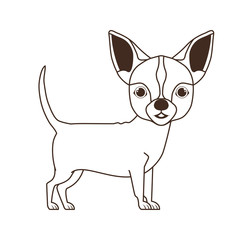 silhouette of cute chihuahua dog on white background