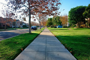 The suburbs 