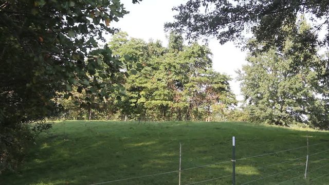landscape hills in kentucky