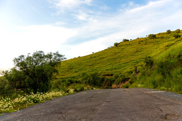 Nature, Landscape day scene grass, trees and sunset 