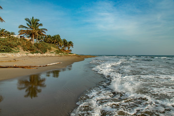 Tropical coastline landscape with palm trees and ocean waves at sunrise on Cabarete beach, Dominican Republic