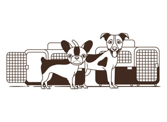 silhouette of dogs and pet transport boxes on white background