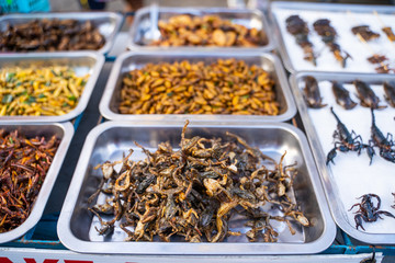 deep fried insects weird food at Khao San Road Bangkok