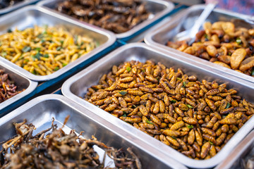 deep fried insects weird food at Khao San Road Bangkok