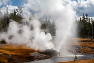 Riverside Geyser erupts over the Firehole River, Upper Geyser Basin, Yellowstone National Park,...