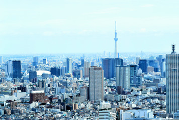 東京の町並み、東京スカイツリーとビル群、日本の首都