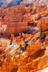 hoodoos in bryce canyon national park