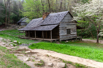 Fototapeta na wymiar Historic Cabin in the Woods