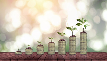 Concept of loans for hire purchase.Real estatet,Trees plant on gold coins stack , Csr in success...