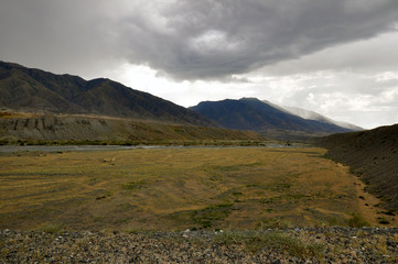 Grass Field and mountains at dramatic overcast sky in Kazakhstan, central Asia