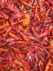 Dry red chili pepper
