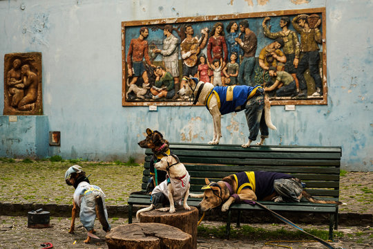 Perros en Buenos Aires