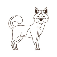silhouette of cute akita inu dog on white background