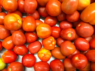 Fresh Tomatoes on the market