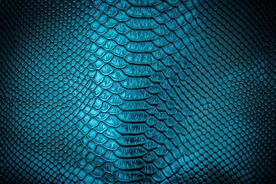 Blue leather texture