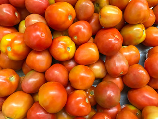 Fresh Tomatoes on the market