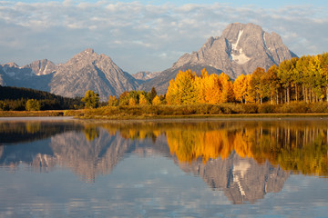 A stand of colorful trees in front of Mt. Moran and the Teton range reflected perfectly in the...
