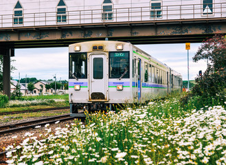 A local train coming to the rural railway station