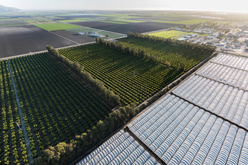 Aerial view of coastal farm fields and citrus groves near Camarillo Airport in scenic Ventura...