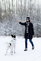 Young woman is playing with her black-white dog on a walk in winter forest.
