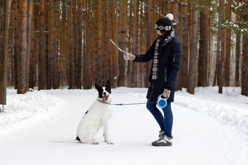 Young woman is training her black and white dog in winter coniferous forest.
