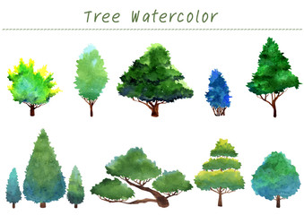 Trees watercolor hand painting collection.
